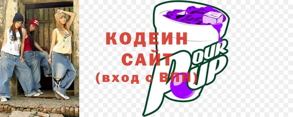 прущий лед Алзамай