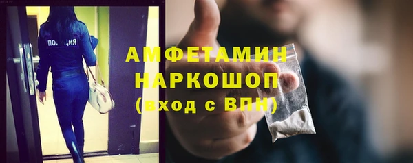 мет Алексин