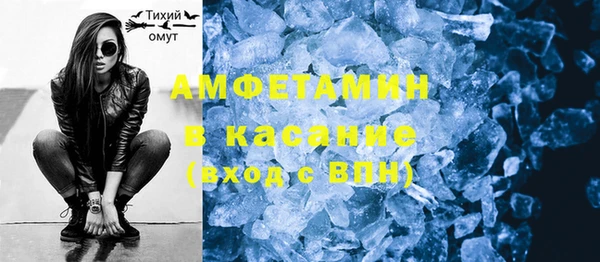 мет Алексин
