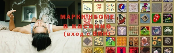 мет Алексин