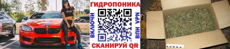 kraken ССЫЛКА  Пучеж  Канабис Amnesia 